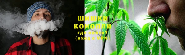 молекула духа Волосово