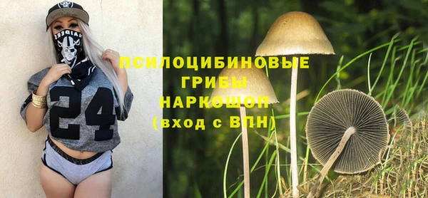 стаф Пестово