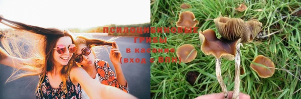 молекула духа Волосово