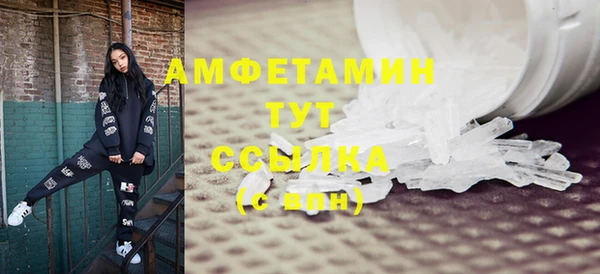 сатива Вяземский